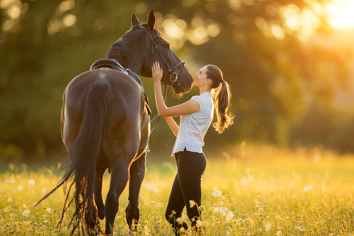 Reiterin mit einem Pferd auf dem Feld