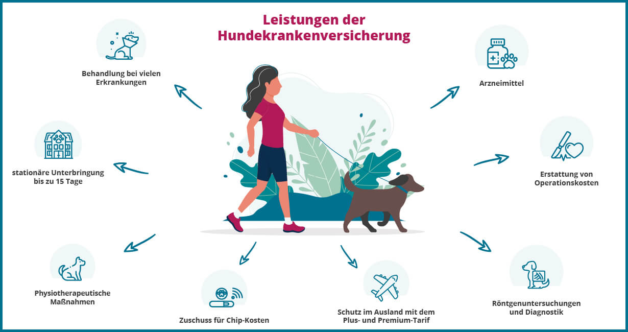 Infografik "Leistungen der Hundekrankenversicherung"